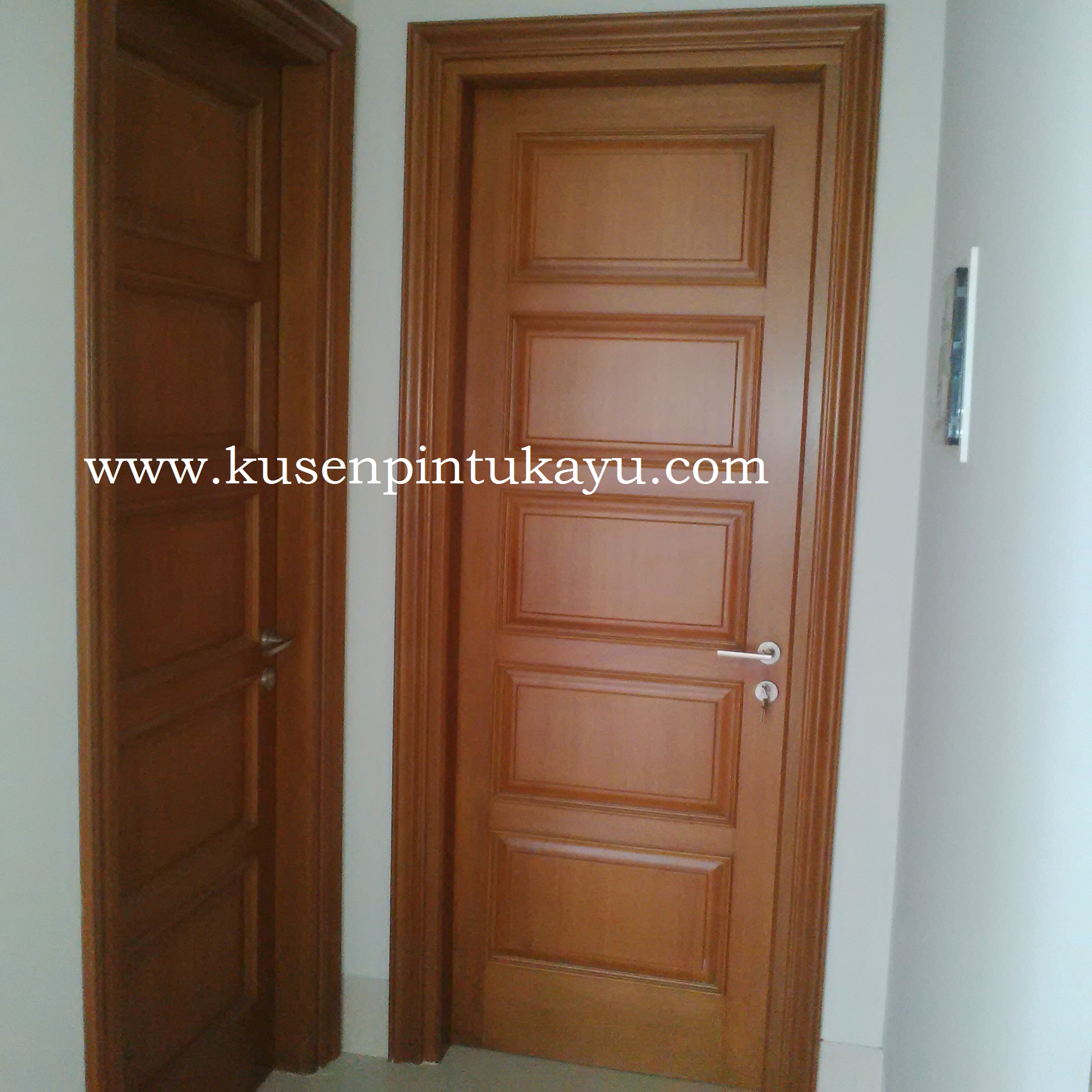  pintu panil minimalis Pintu Panil Solid PK Dwi Karya Mandiri